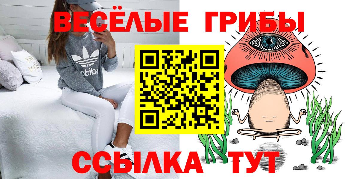 Куйбышев  Псилоцибиновые грибы мухоморы  Вход с VPN 