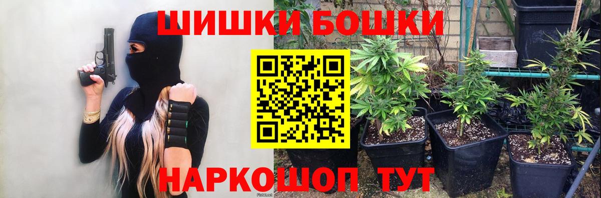 Бошки марихуана гибрид Куйбышев